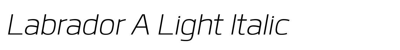 Labrador A Light Italic